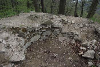  (© Michal Brůža, 04/2011)