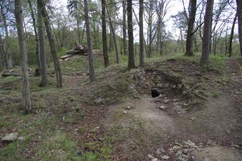  (© Michal Brůža, 04/2011)