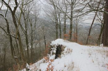  (© Luděk Vláčil, 02/2015)