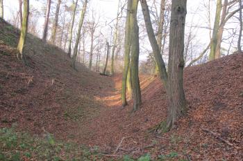 Příkop, chránící hrad po jeho sv.straně ( © Dušan Dohňanský 12/2019)