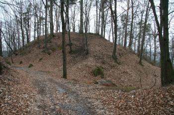  (© Petr Nožička, 03/2009)