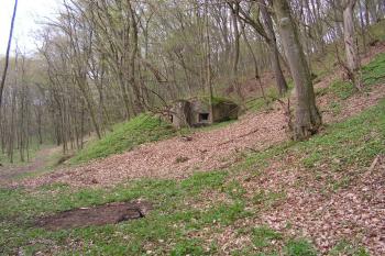 Lehké opevnění vz. 37 - 5/2059/A-120Y (© Michal Kiesel, 07/2008)