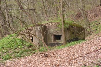 Lehké opevnění vz. 37 - 5/2059/A-120Y (© Michal Kiesel, 07/2008)