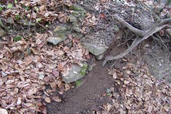 Jediný patrný pozůstatek lícovaného zdiva na východní straně jádra ( © Roman Řezáč 12/2004)