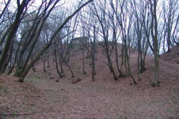 Pohled na hradní jádro od severu ( © Roman Řezáč 12/2004)