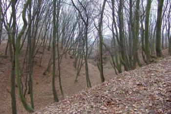 Druhý příkop oddělující výběžek od předhradí ( © Roman Řezáč 12/2004)