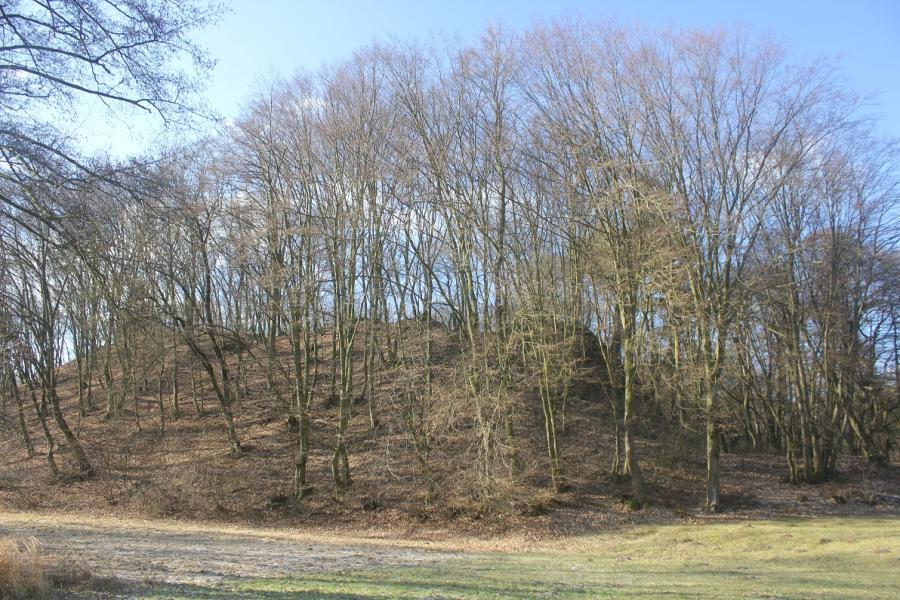 Dědice