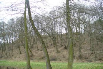pohled na jádro hradu od SV (© zdeněk komínek, 04/2008)