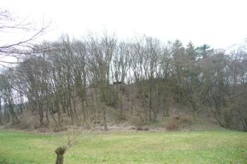 pohled na jádro hradu od SV (© zdeněk komínek, 04/2008)