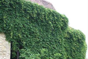 Jihovýchodní kout lodi (© Ivan Grisa, 07/2008)