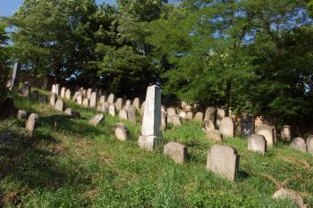 rozhraní starší a novější části hřbitova ( © Milan Caha 07/2008)