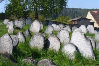  (© zdeněk komínek, 04/2007)
