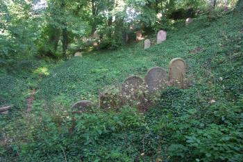 západní část hřbitova ( © Milan Caha 07/2008)