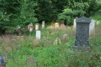 novější - východní - část hřbitova ( © Milan Caha 07/2008)