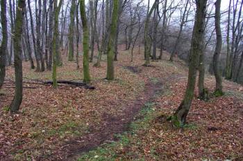 Prostor opevnění (© Roman Řezáč 04/2004)