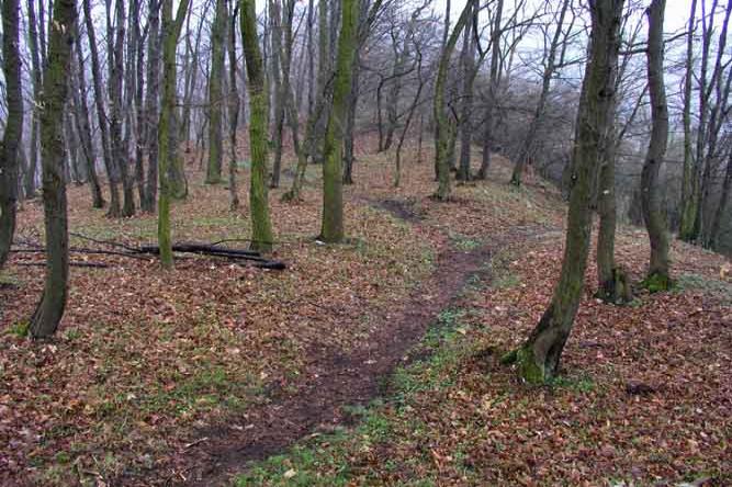 Horákovský hrad