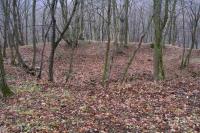 Horákovský hrad