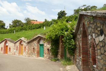 Vinné sklípky na Vrbici (© Dita Kacerovská, 07/2009)