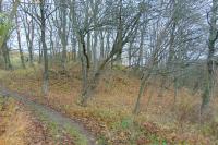 Kanšperk