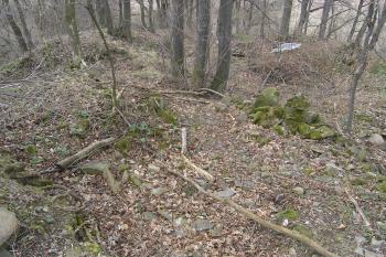 Vlastní plocha hradu. ( ©Martin Kabeláč 03/2007)