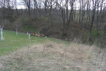 Pohled na hradní těleso ( ©Martin Kabeláč 03/2007)