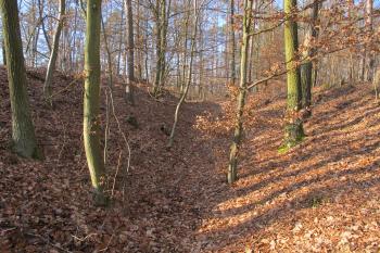 První hradní severní příkop (© Dušan Dohňanský 01/2020)