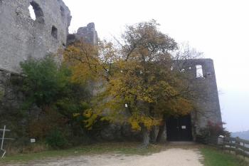 brána do hradu ( © Ondřej Štěpánek 10/2011)