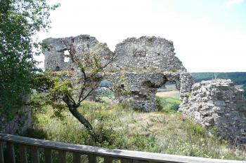 Zřícenina hradu Falkenstein (© aleshwarrior, 07/2014)