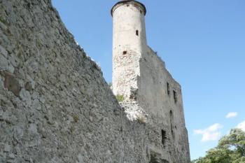 pohled na hradby paláce a válcovou hlásku jádra hradu ( © Jan P. Štěpánek 07/2008)