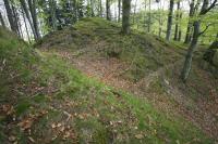 hrad u Brandova