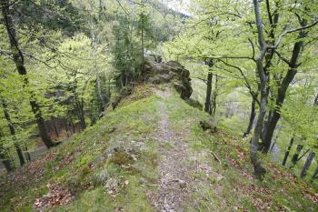 Skalisko zv. Loupežnická skála na konci ostrožny ( © Filip Matoušek 05/2008)