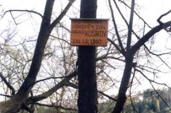 Na místě hradu (© 1998 Radek Drápela)