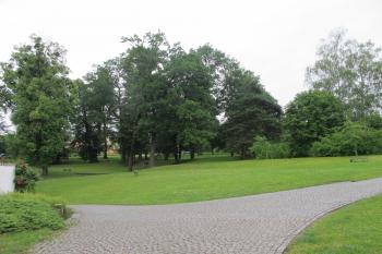 zámecký park (© D Dohňanský, 06/2017)