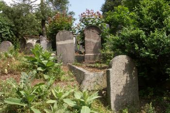  ( © Milan Caha 06/2008)