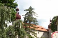 Bukovany