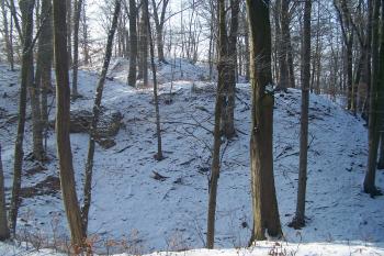 Loučky (© Michal Brůža, 01/2011)