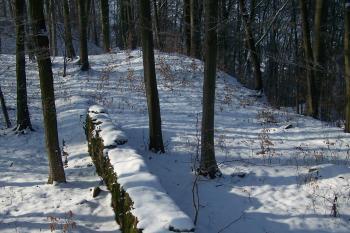 Loučky (© Michal Brůža, 01/2011)