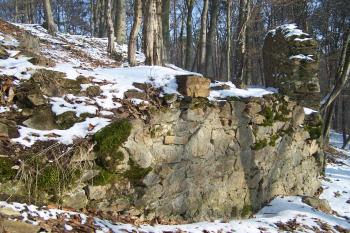 Loučky (© Michal Brůža, 01/2011)