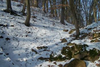 Loučky (© Michal Brůža, 01/2011)