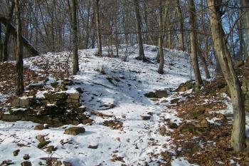 Loučky (© Michal Brůža, 01/2011)