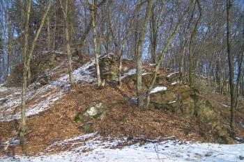 Loučky (© Michal Brůža, 01/2011)