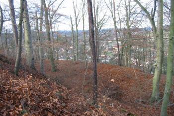 Upravená terasa podél sev. části dolního hradu (© D Dohňanský, 12/2014)