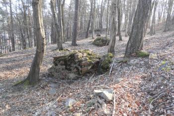 Bloky utrženého zdiva na severní straně pod hradem (© Jan Večeřa, 04/2015)