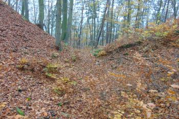 První příčný příkop od jihu /vlevo předhradí, vpravo vnější val/ (© Dušan Dohňanský 11/2020)