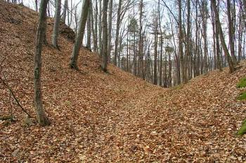 Východní příkop oddělující předhradí ( © Roman Řezáč 03/2003)