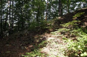 Severozápadní cíp nového předhradí z příkopu ( © Iva Spurná 28.9.2009)