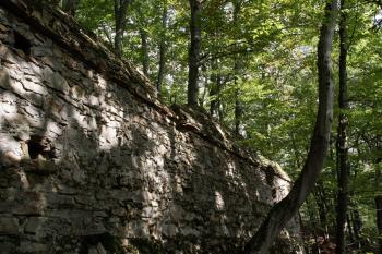 Část jižní zdi nového předhradí se zachovala v plné výši ( © Iva Spurná 28.9.2009)