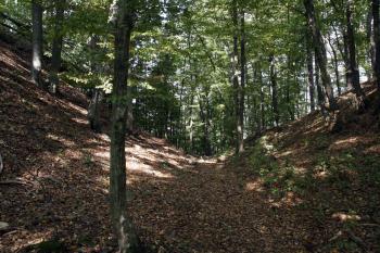 Příkop nového předhradí, kterým vedla přístupová cesta ( © Iva Spurná 28.9.2009)