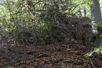Zbytek subtilní věžičky nad východním příkopem (bohužel pod padlým stromem) ( © Iva Spurná 28.9.2009)