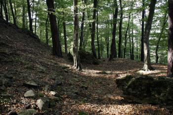 Fragmenty zdí v parkánu na severní straně hradu ( © Iva Spurná 28.9.2009)